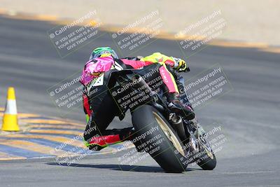 media/Mar-10-2024-SoCal Trackdays (Sun) [[6228d7c590]]/9-Turn 8 Backside (1150am)/